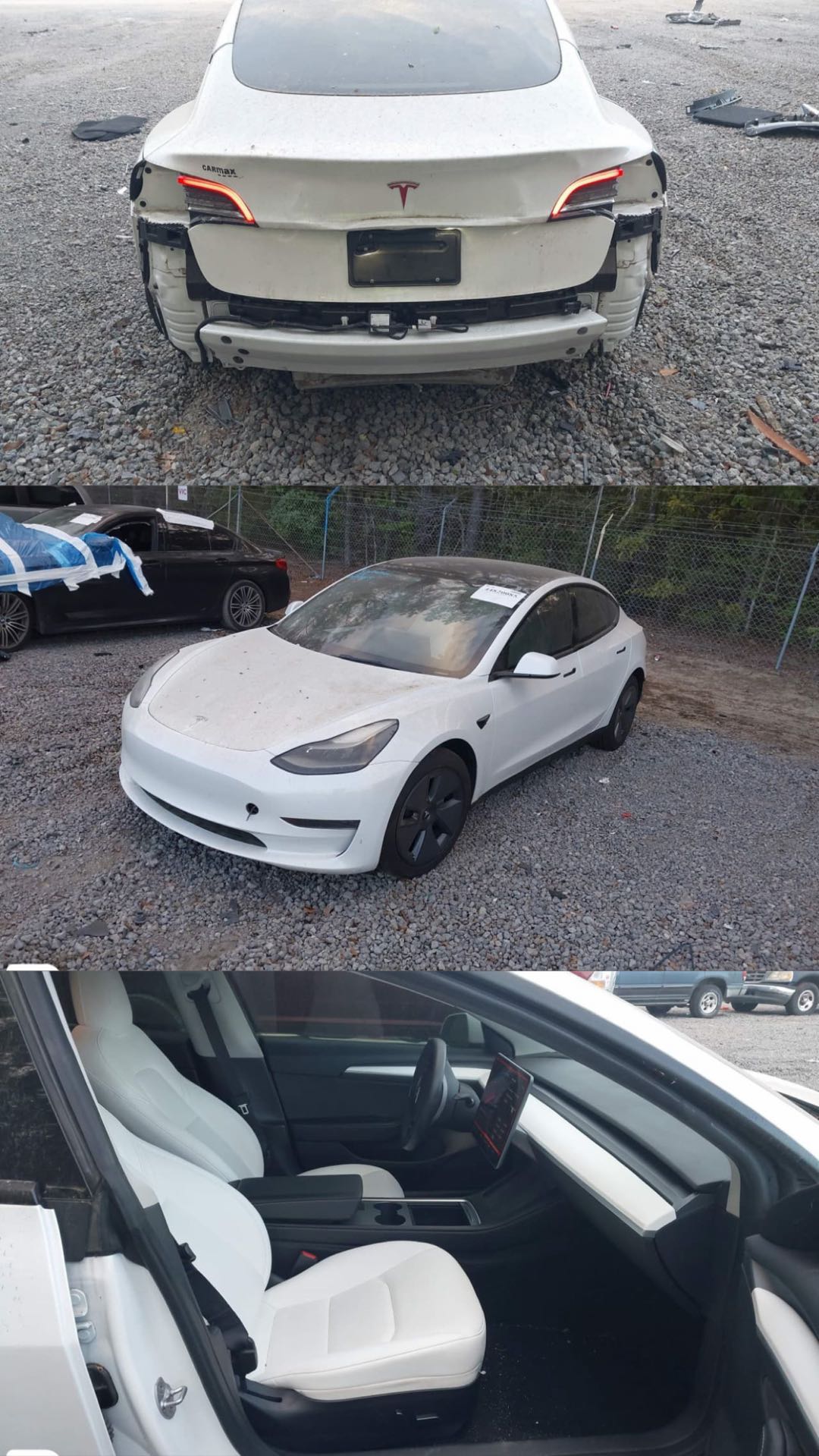 Car Image 2023 TESLA Model 3