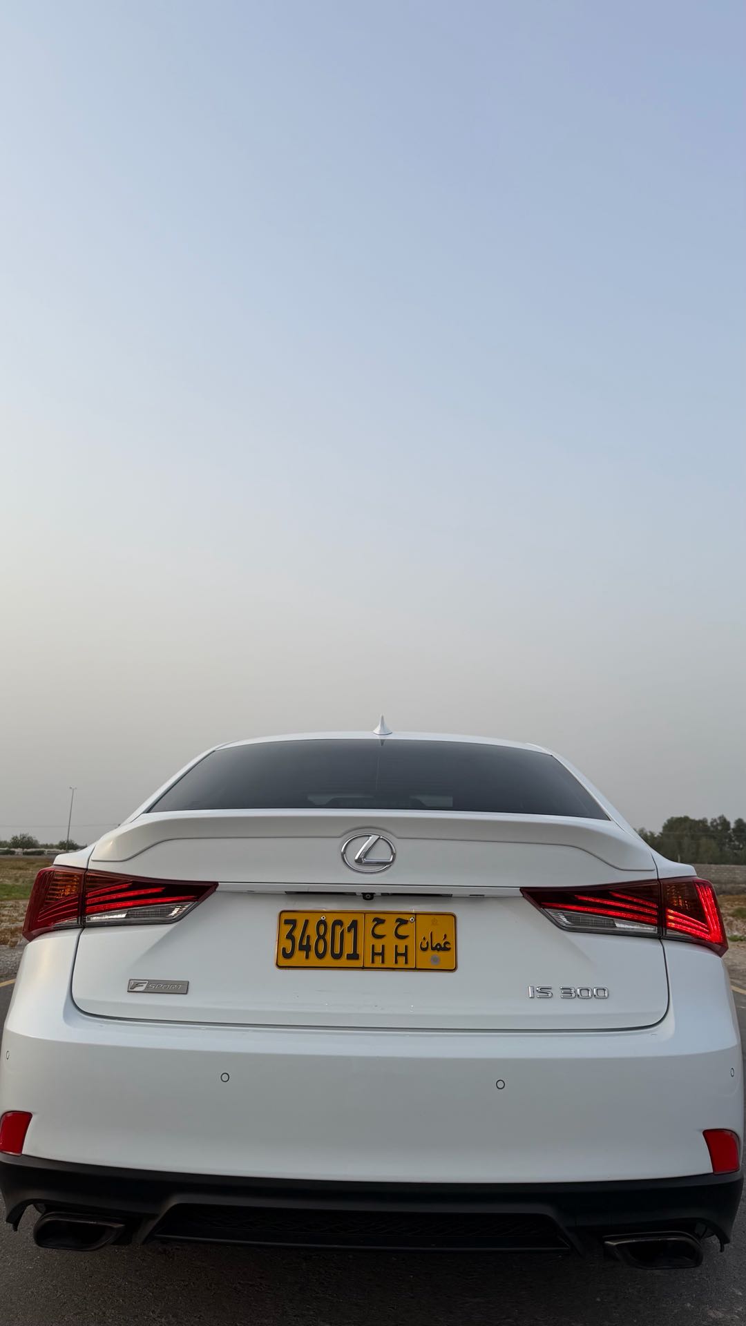 Car Image 2020 LEXUS IS 300
