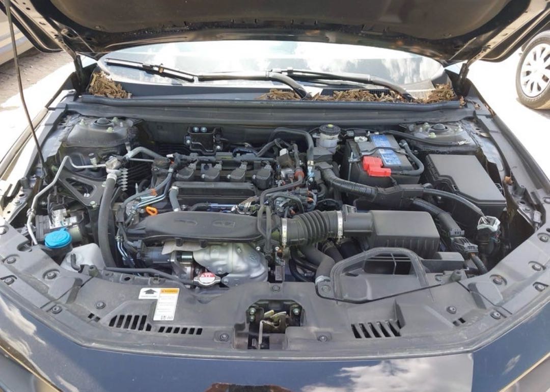 Car Image 2025 HONDA ACCORD