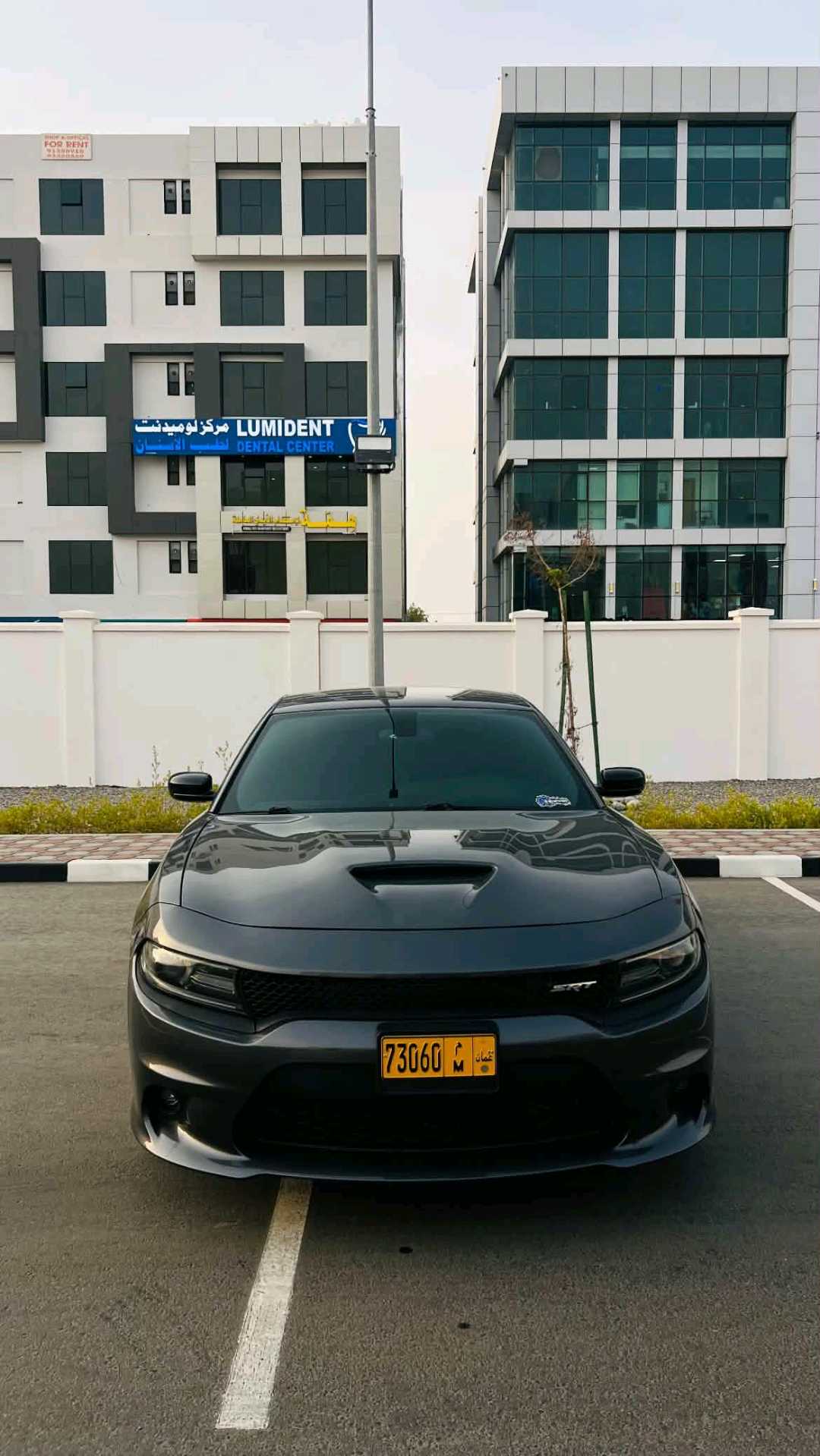 Car Image 2019 DODGE CHARGER SXT