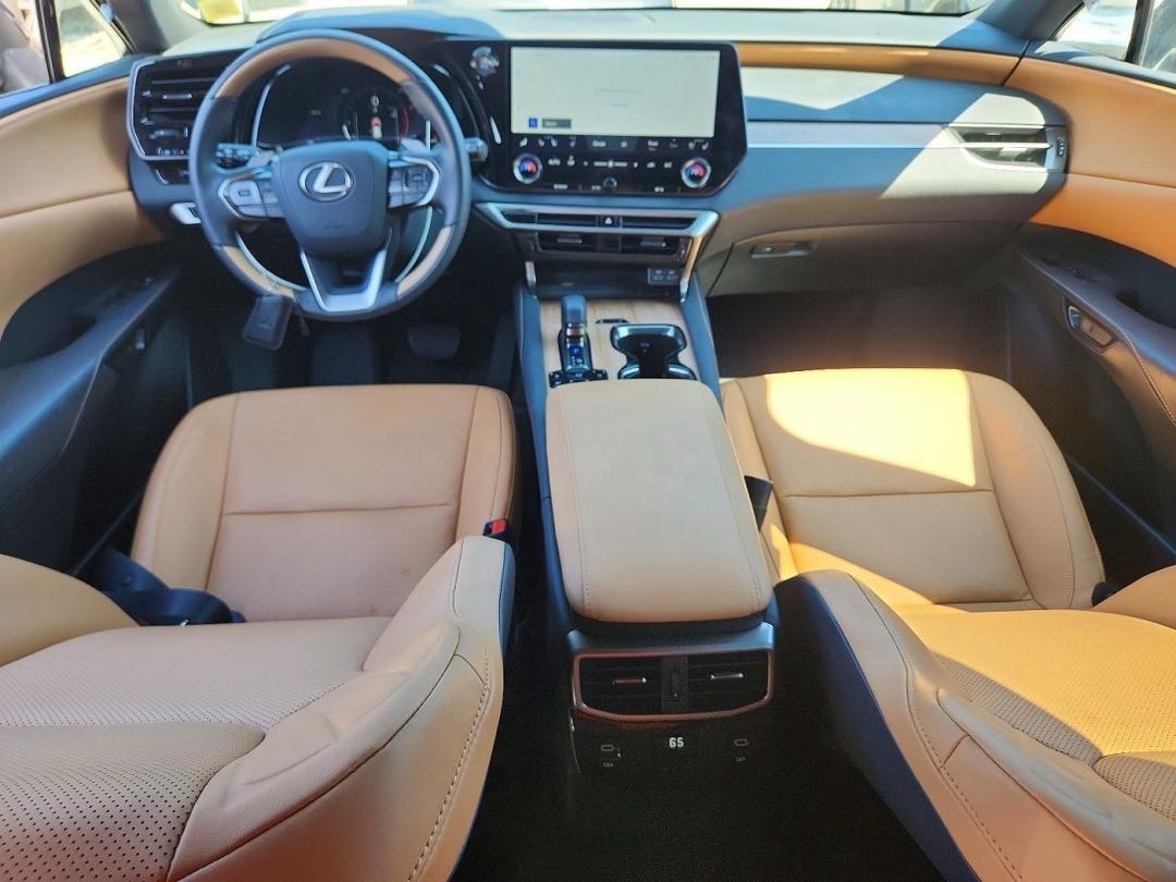 Car Image 2025 LEXUS RX