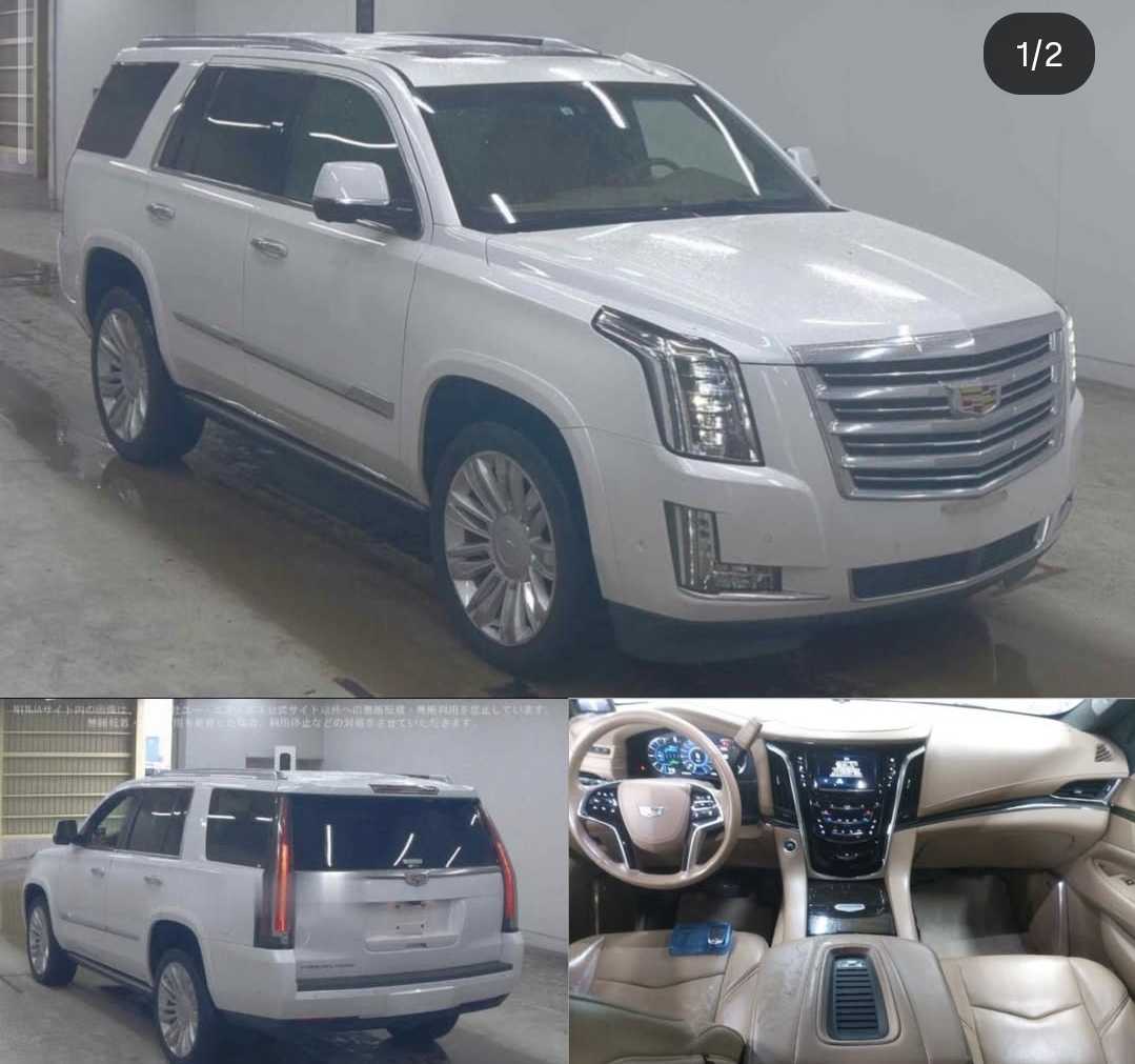 كادليك إسكاليد Platinum 2019