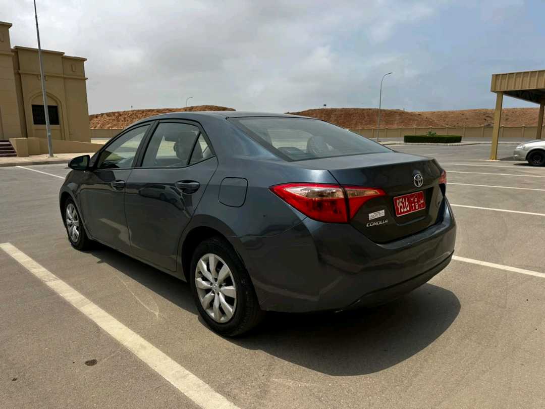 تويوتا كورولا 2019