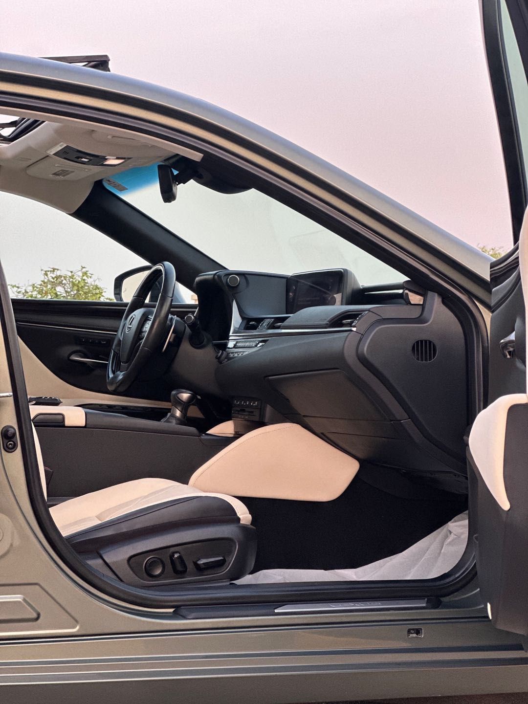 Car Image 2019 LEXUS ES 350