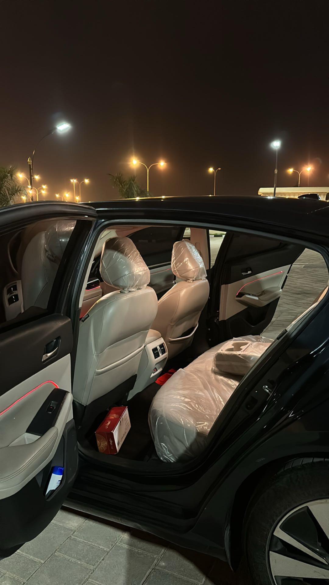 Car Image 2019 NISSAN ALTIMA SL