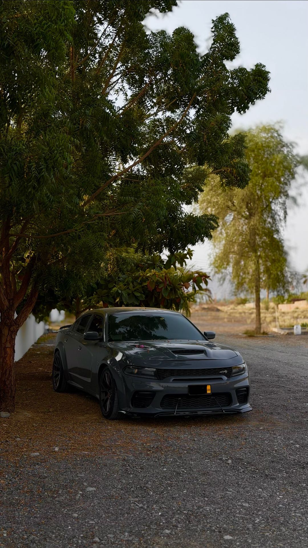 Car Image 2018 DODGE CHARGER SXT