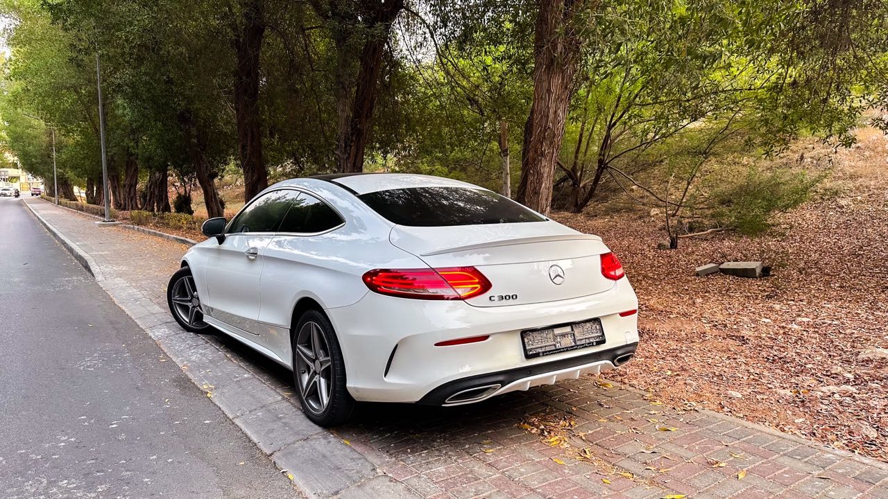 Car Image 2017 MERCEDES C Class 300