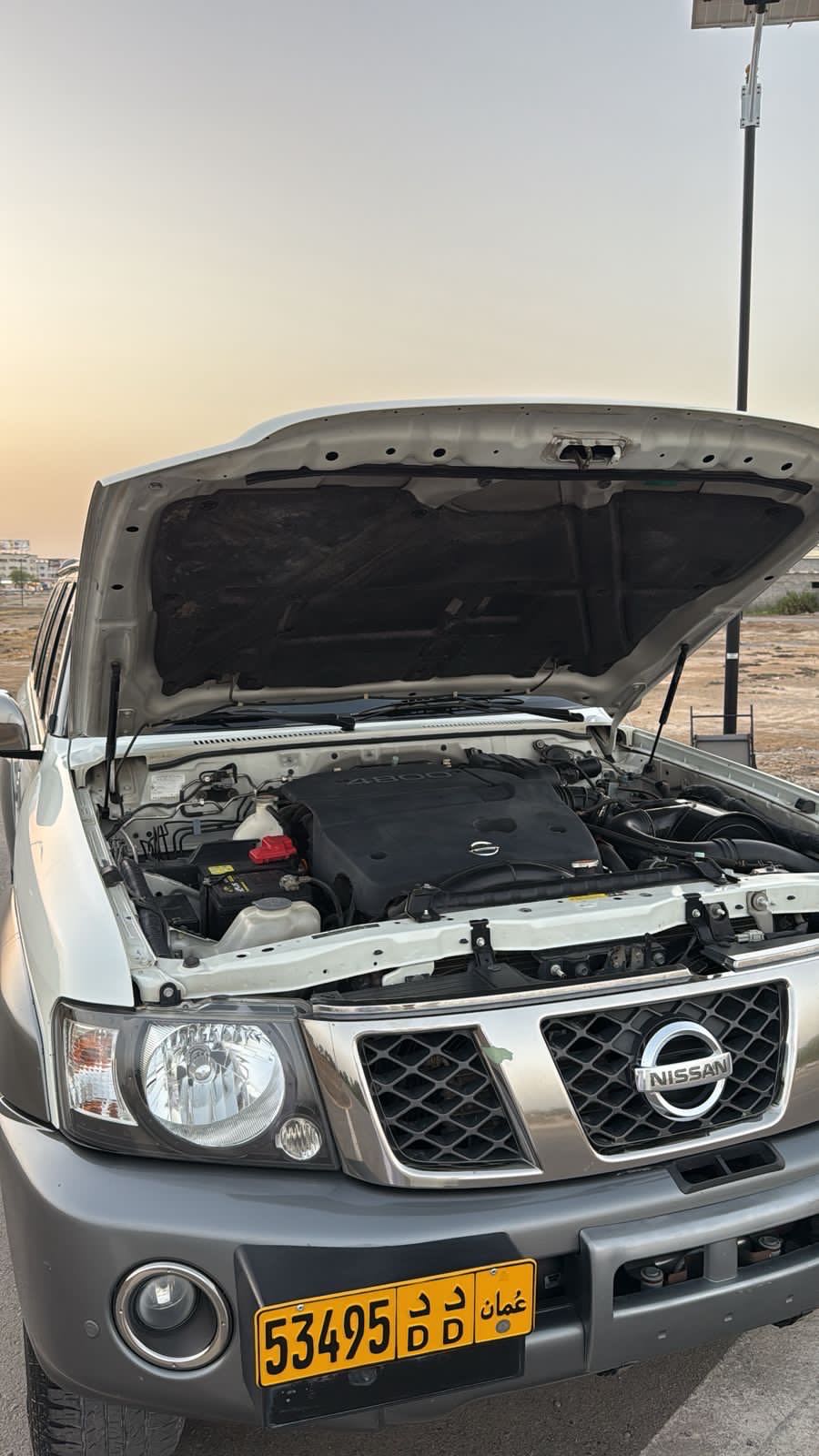 Car Image 2019 NISSAN SAFARI 
