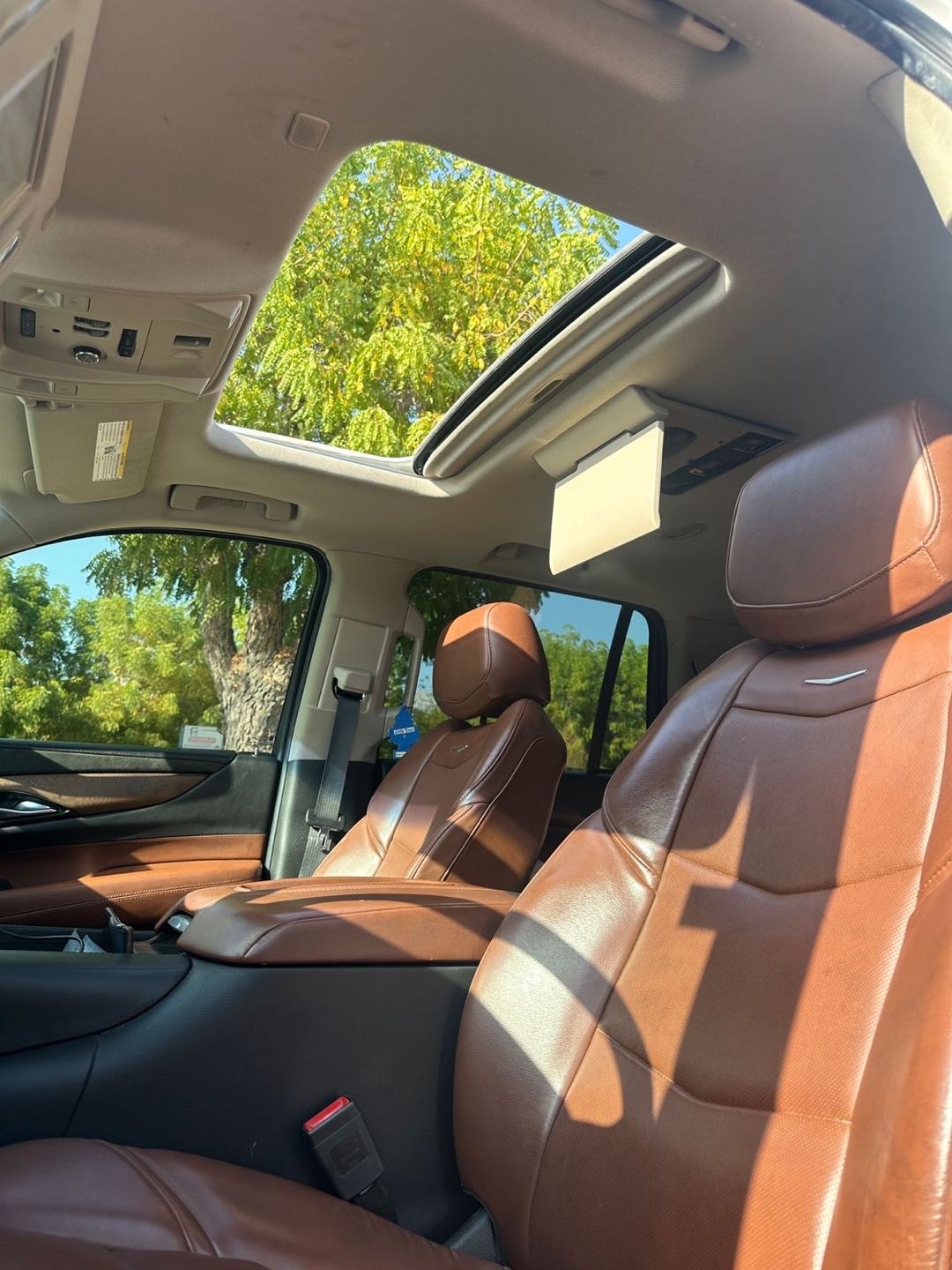 Car Image 2019 CADILLAC ESCALADE 