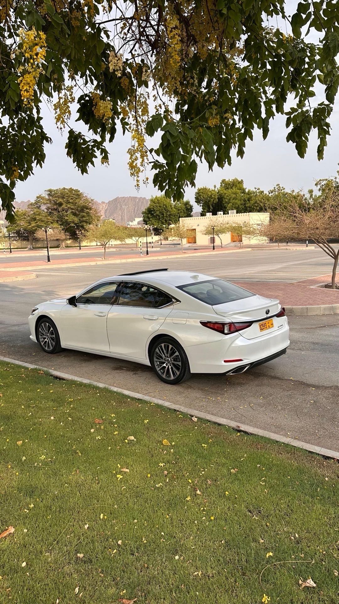 Car Image 2019 LEXUS ES 350
