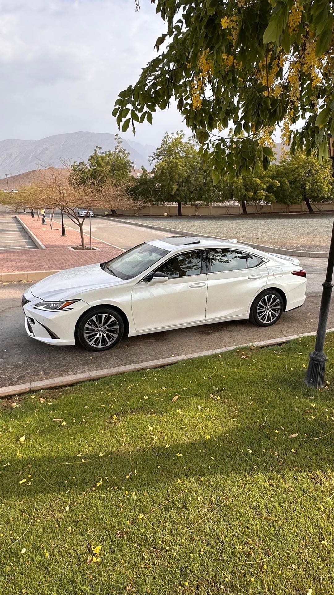 Car Image 2019 LEXUS ES 350