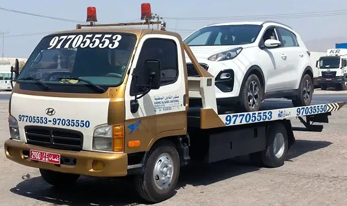 ايزوزو شاحنات 2010