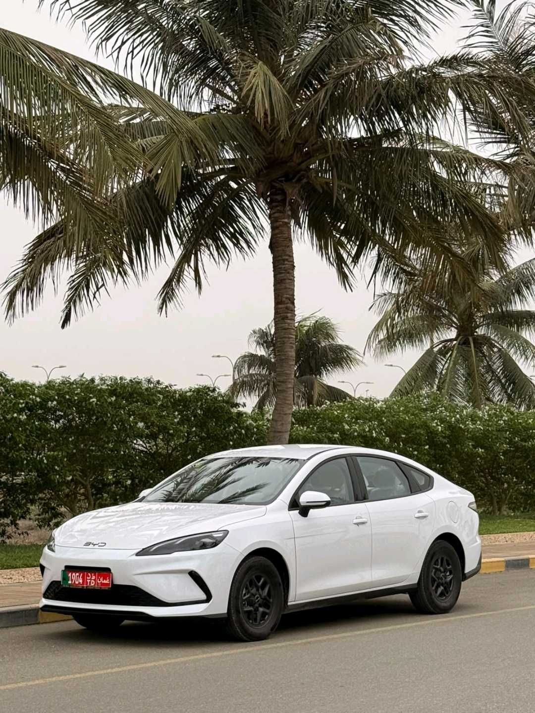 BYD سيل 2026