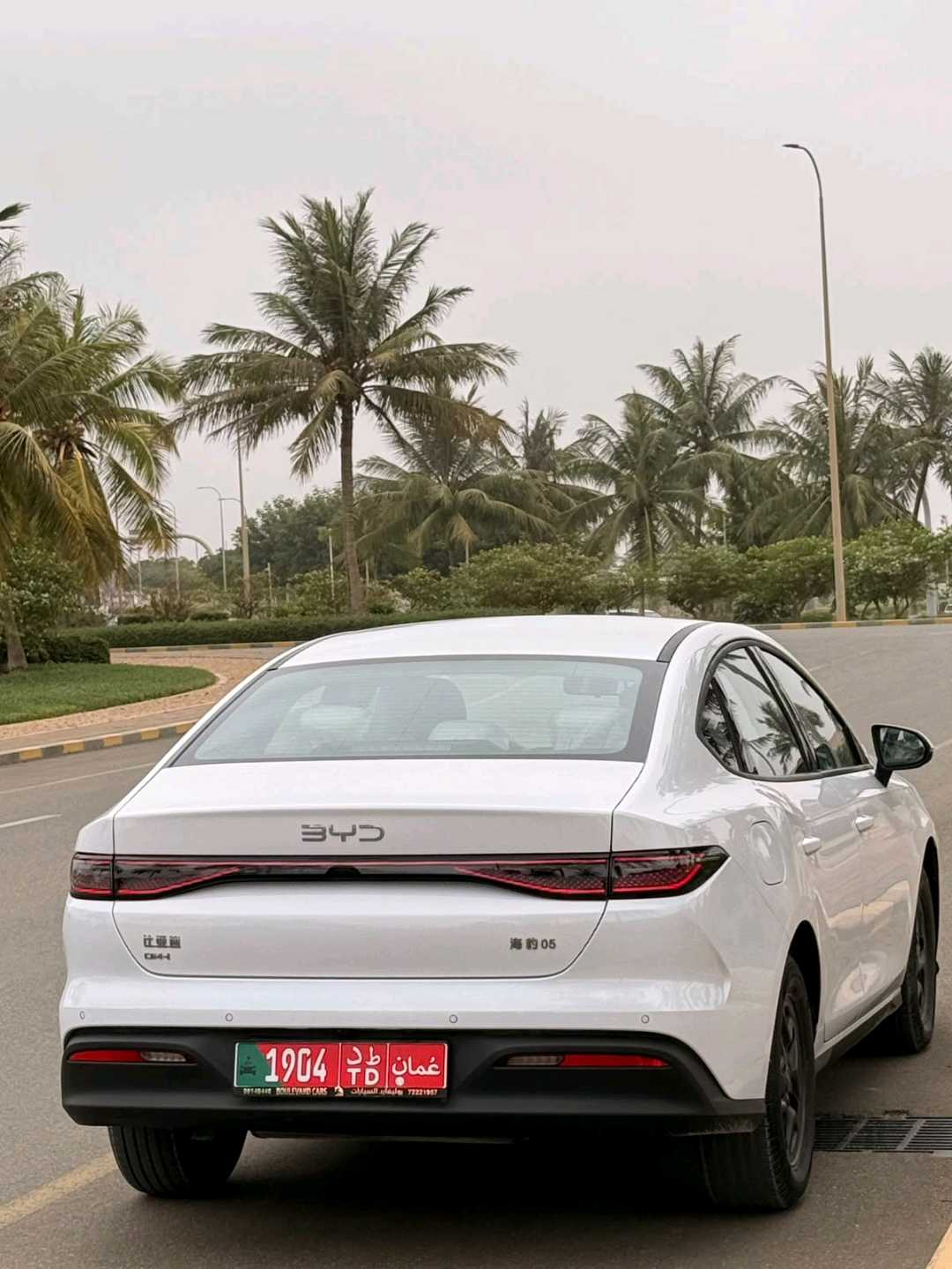 BYD سيل 2026