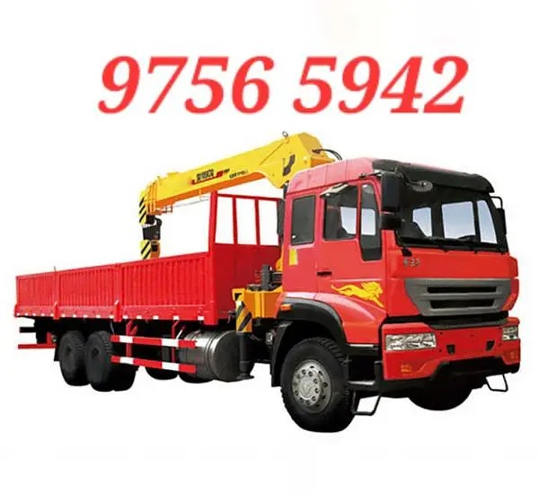 DONGFENG RICH 2010