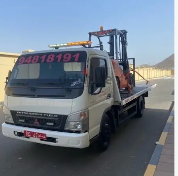 MITSUBISHI FUSO 2010