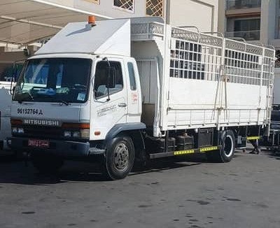 MITSUBISHI FUSO 2010