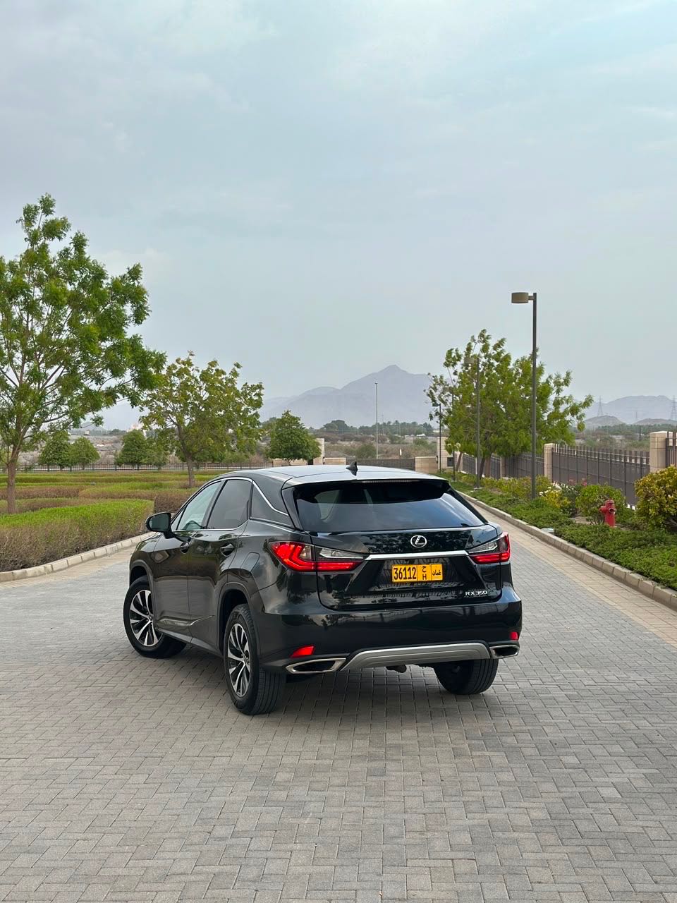Car Image 2022 LEXUS RX 350