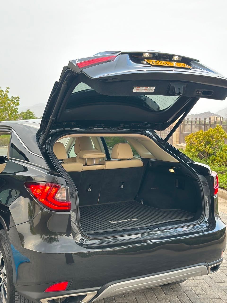 Car Image 2022 LEXUS RX 350
