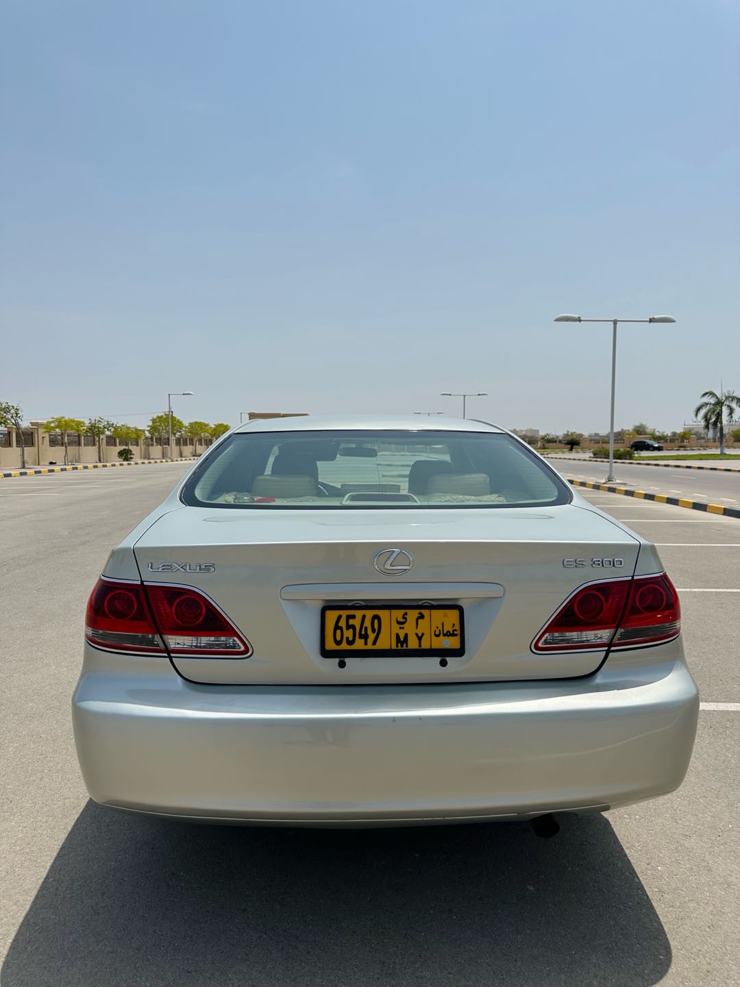 Car Image 2003 LEXUS ES 300
