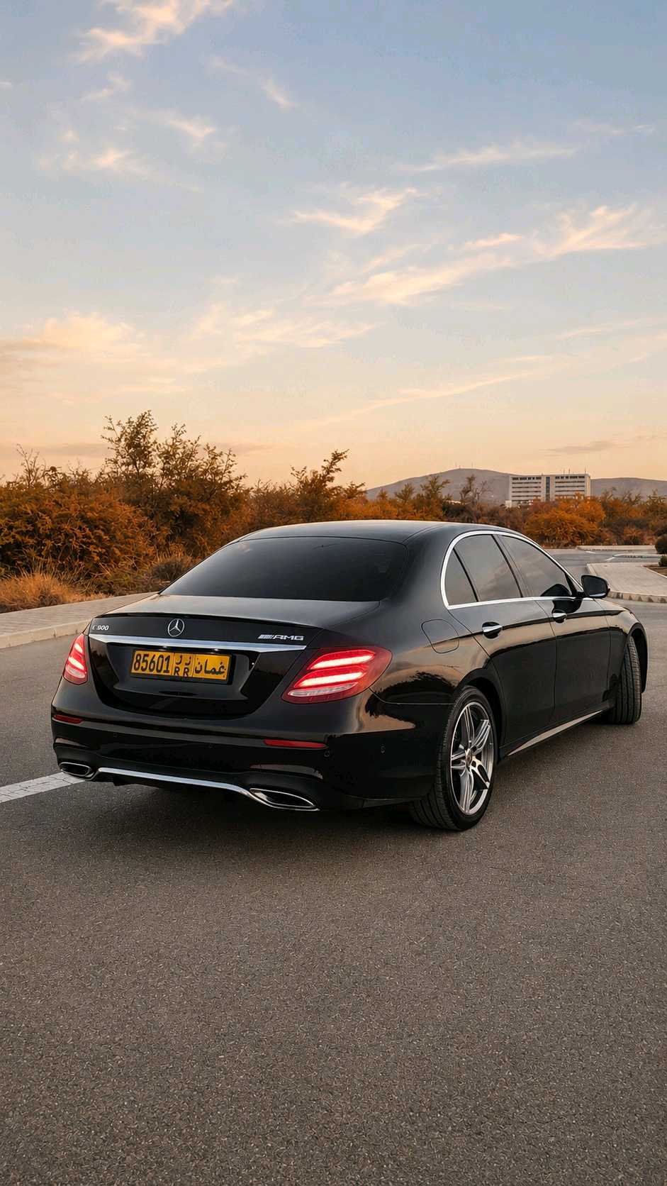 Car Image 2019 MERCEDES E Class 300