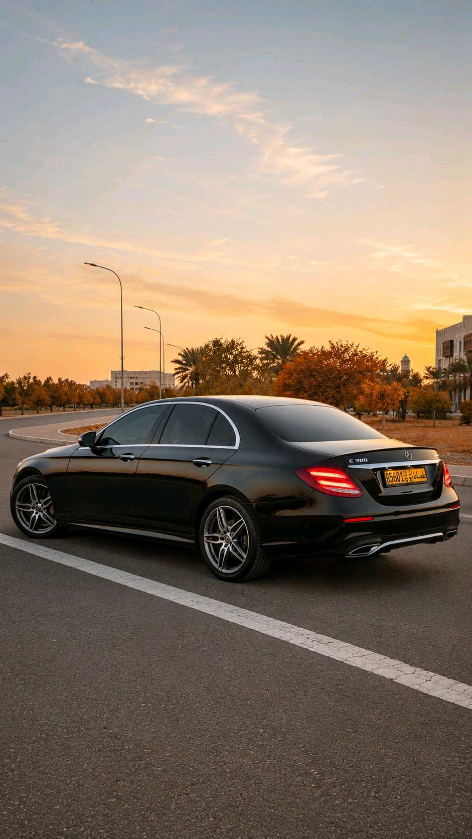 Car Image 2019 MERCEDES E Class 300