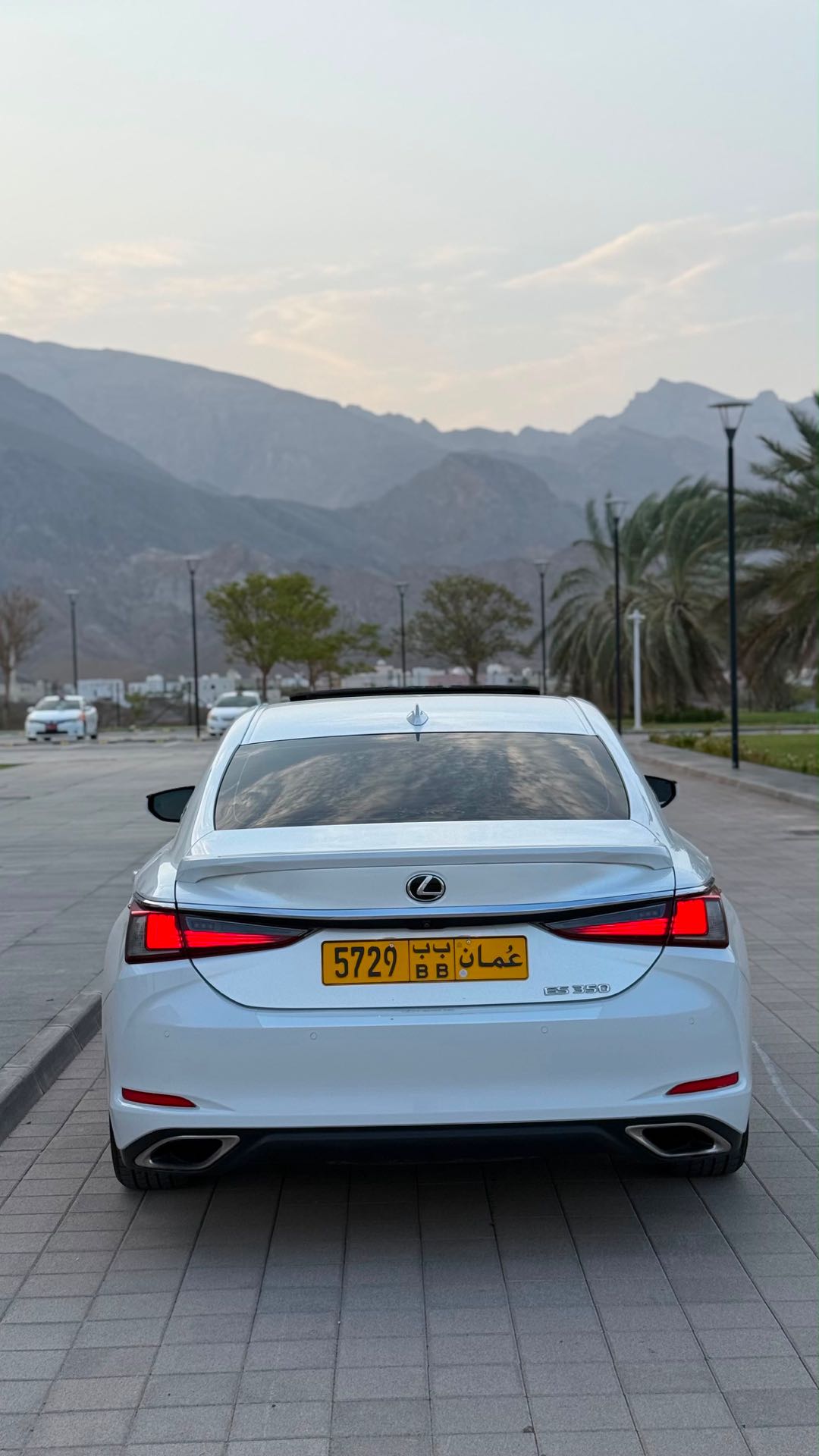 Car Image 2019 LEXUS ES F350