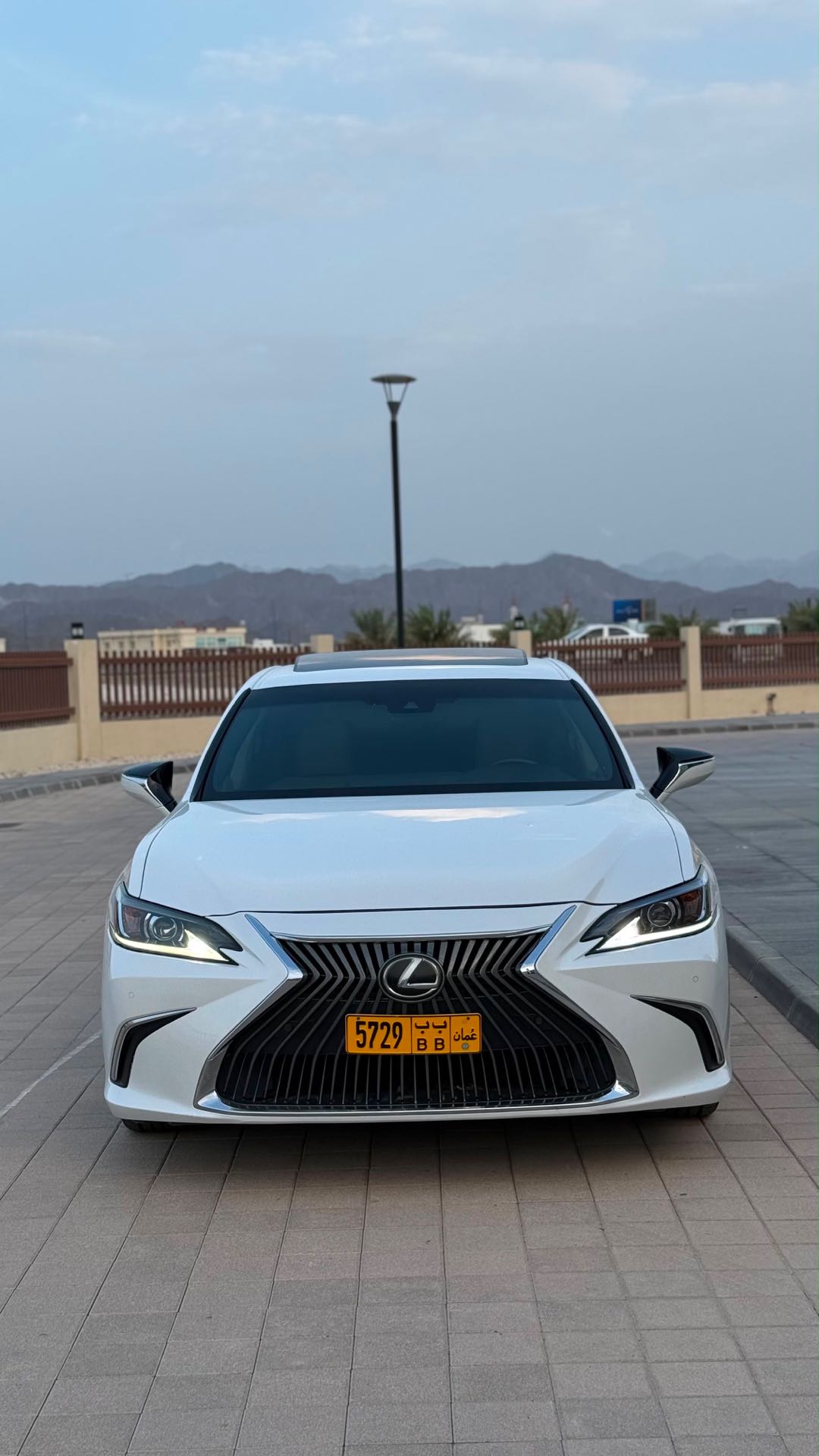 Car Image 2019 LEXUS ES F350