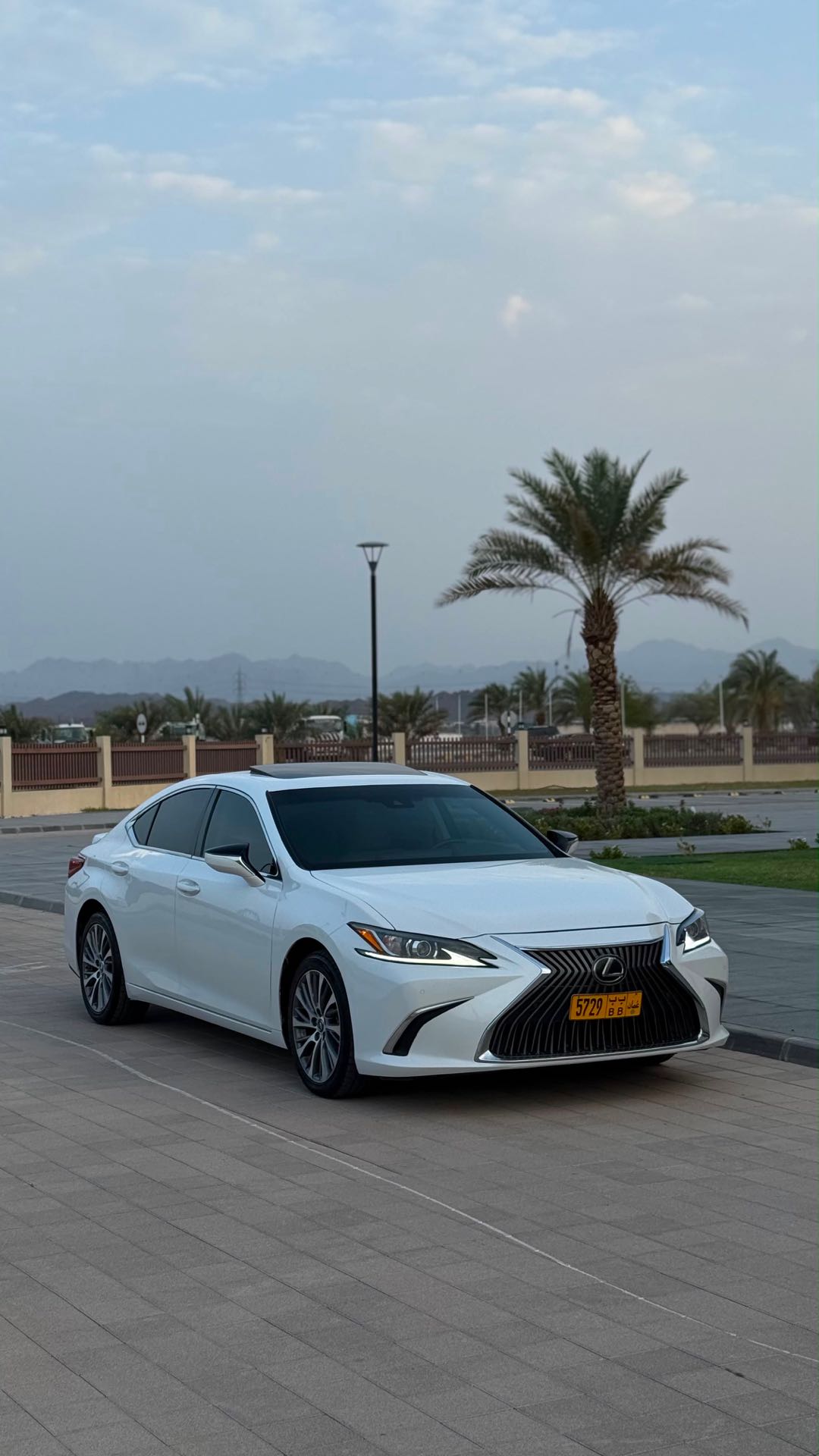 Car Image 2019 LEXUS ES F350