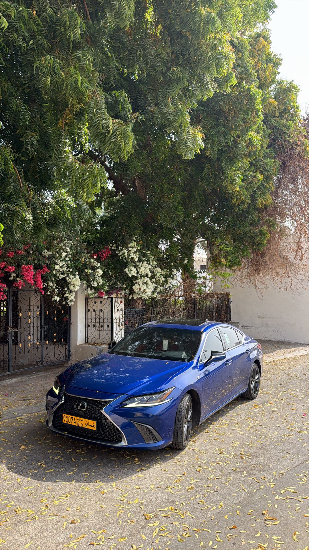 Car Image 2019 LEXUS ES 350