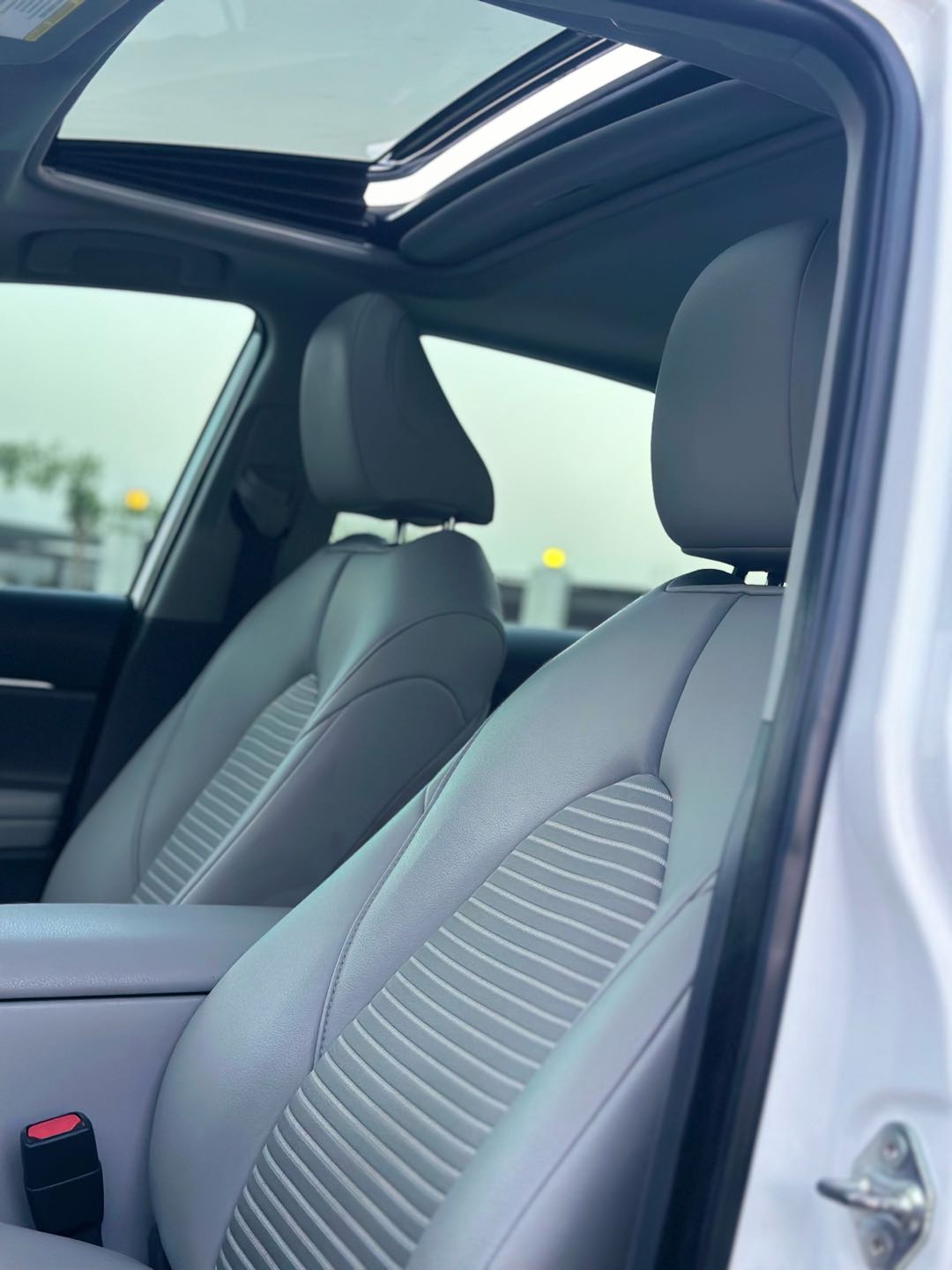 Car Image 2019 TOYOTA CAMRY SE