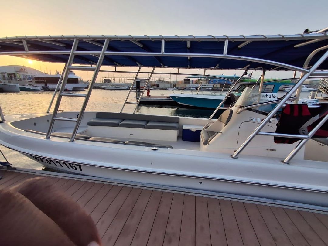 أخرى قارب 2020