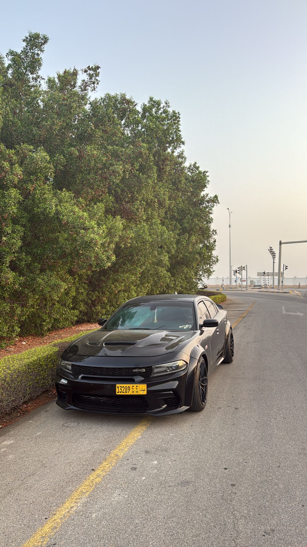 Car Image 2019 DODGE CHARGER SXT