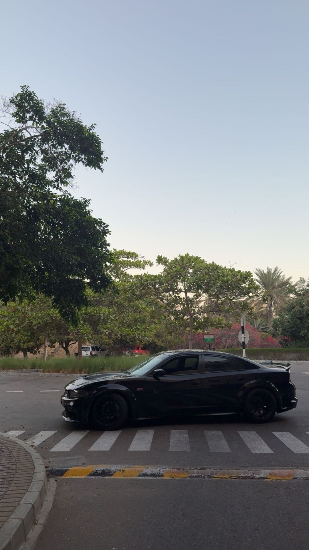 Car Image 2019 DODGE CHARGER SXT