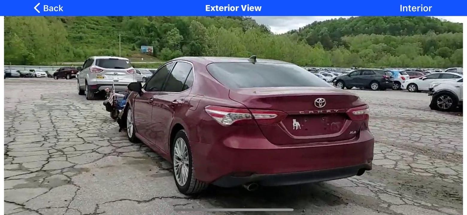 Car Image 2019 TOYOTA CAMRY XLE