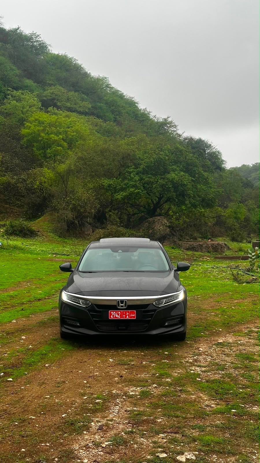 HONDA ACCORD 2020