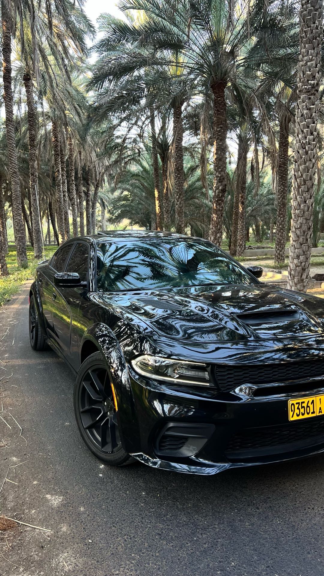 Car Image 2018 DODGE CHARGER SXT
