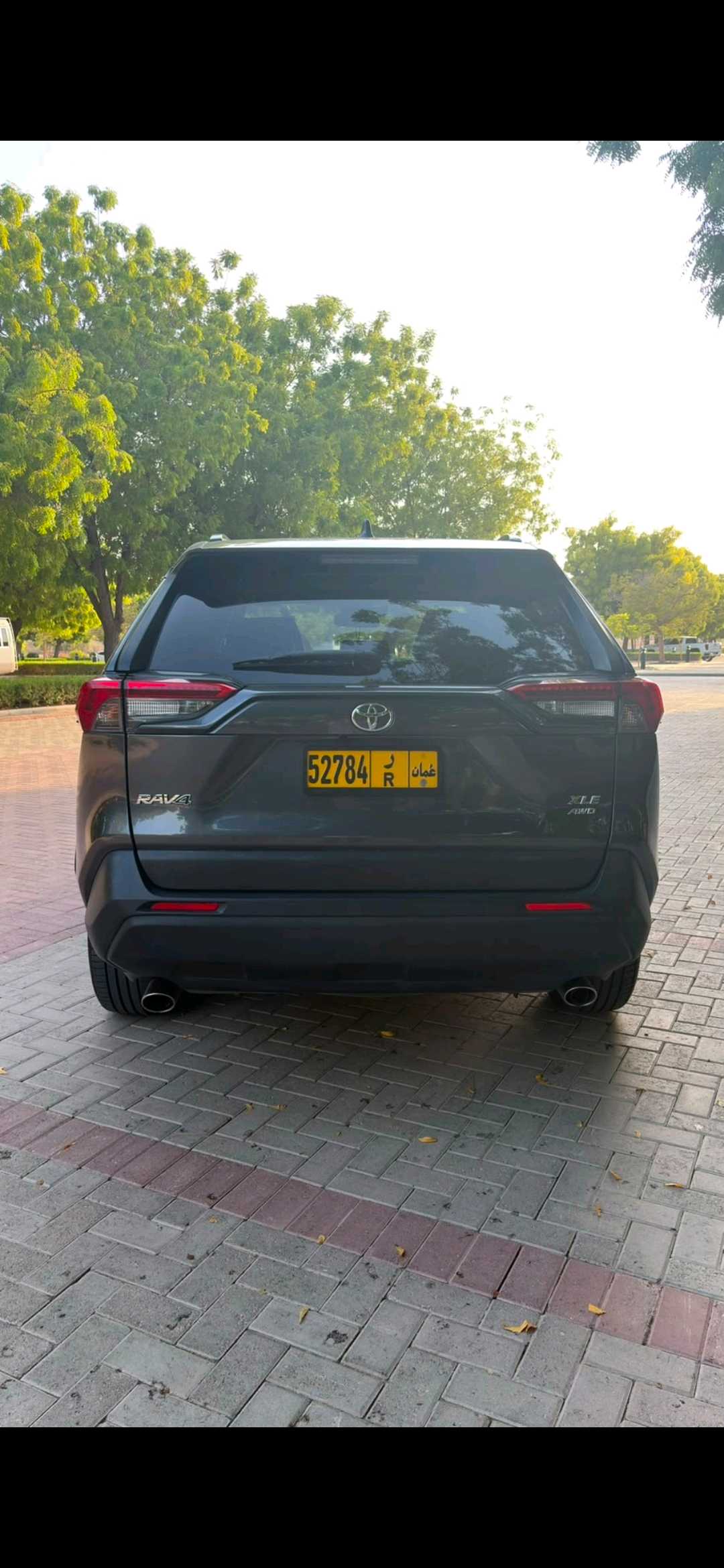 Car Image 2019 TOYOTA RAV4 XLE