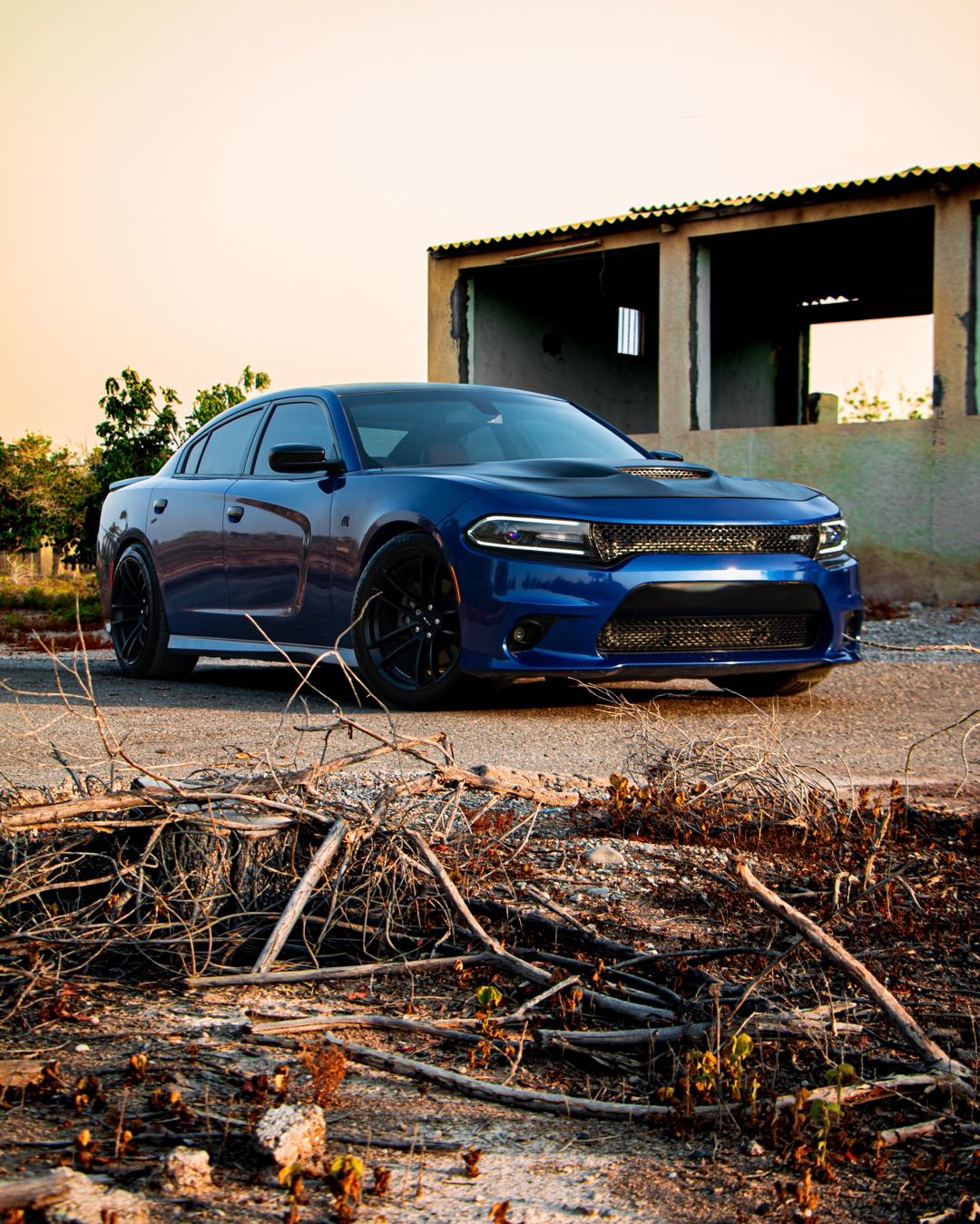 Car Image 2019 DODGE CHARGER R/T