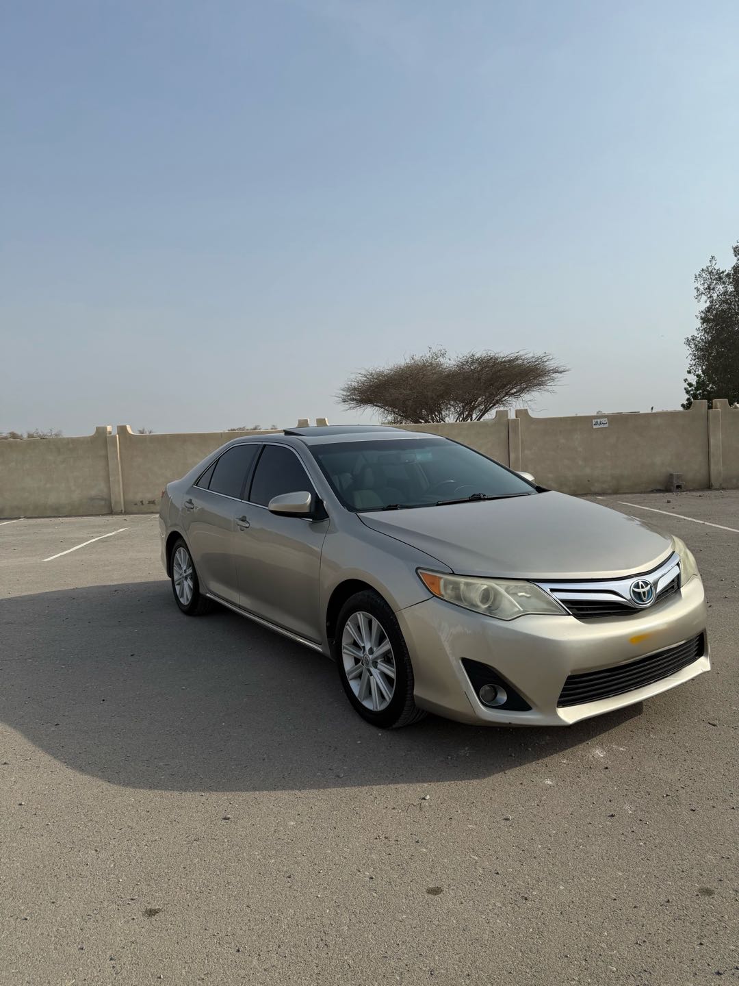 Car Image 2014 TOYOTA CAMRY XLE