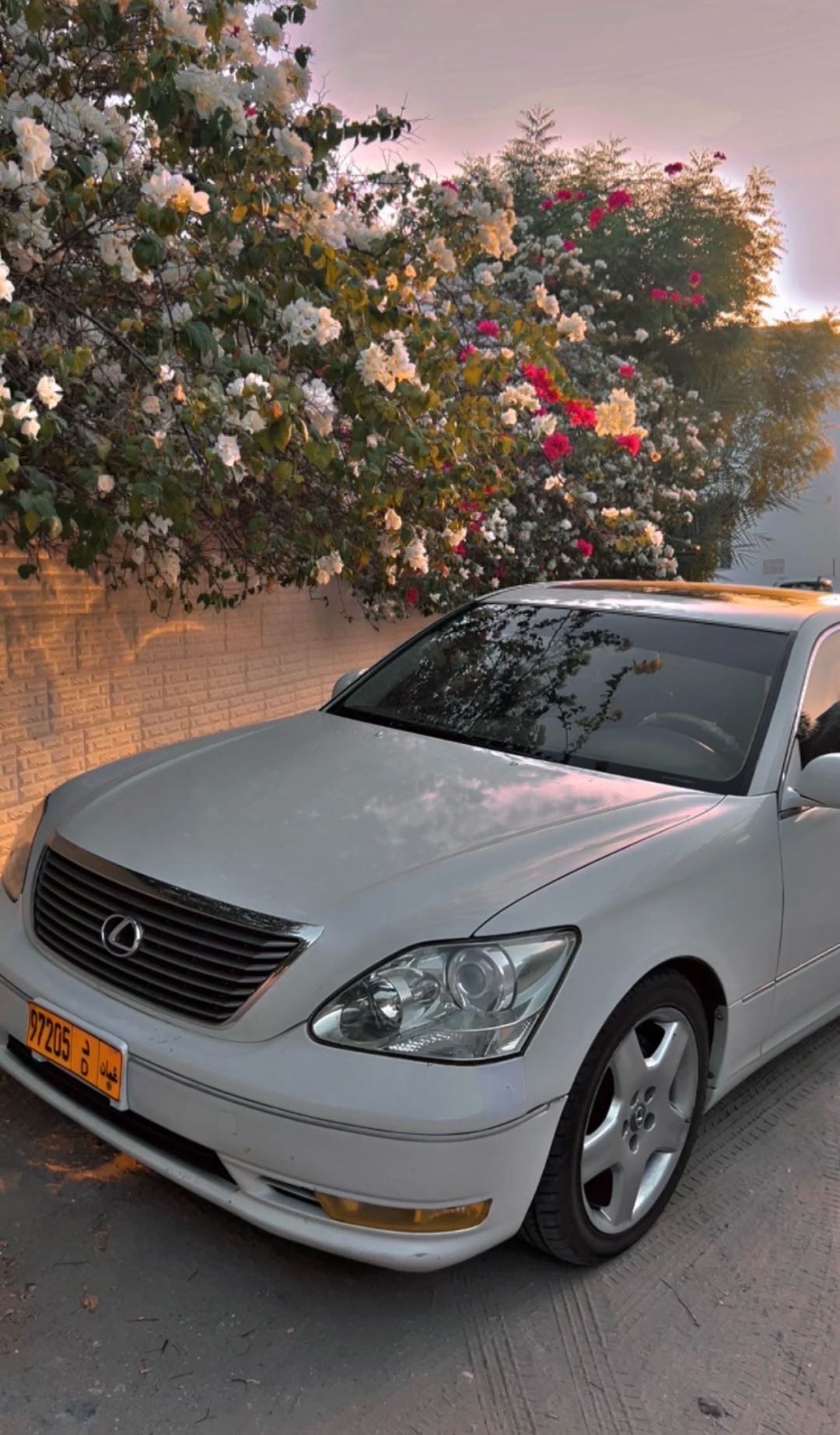 Car Image 2004 LEXUS LS 430