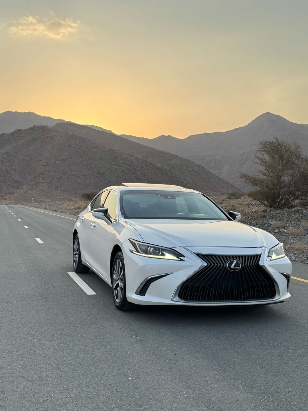 Car Image 2019 LEXUS ES 350