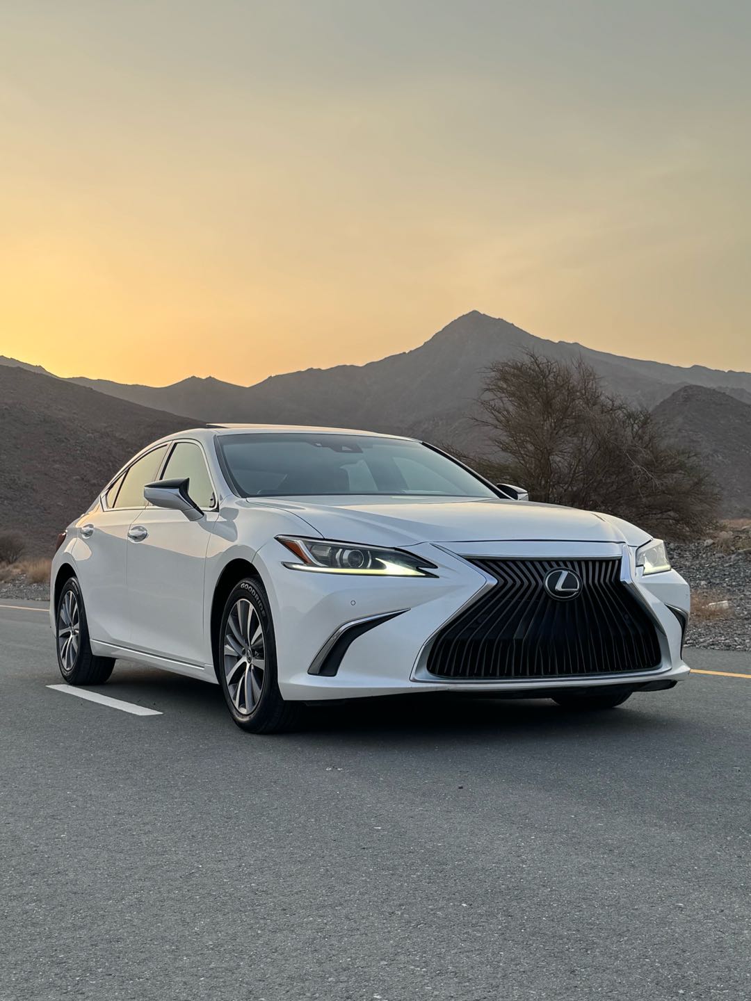 Car Image 2019 LEXUS ES 350