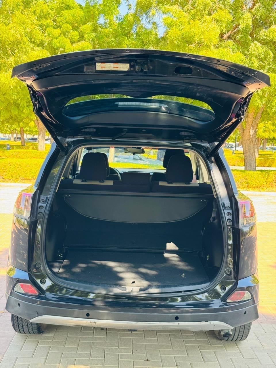 Car Image 2018 TOYOTA RAV4 LIMITED