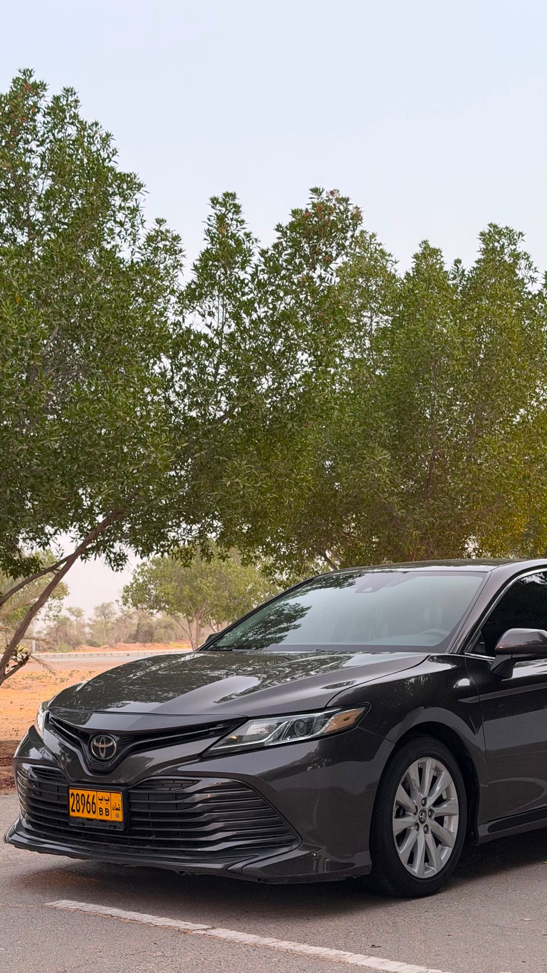 Car Image 2019 TOYOTA CAMRY LE