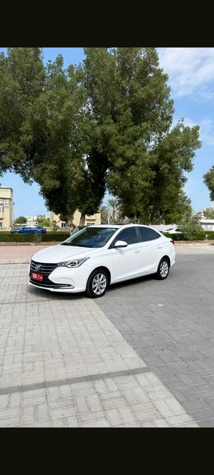 تشانجان السفن 2024