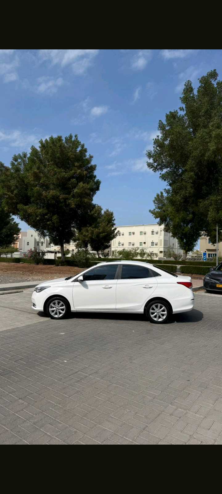 تشانجان السفن 2024