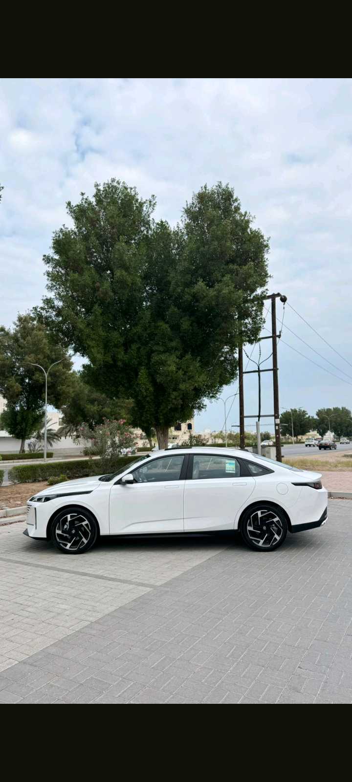 تشانجان EADO 2025