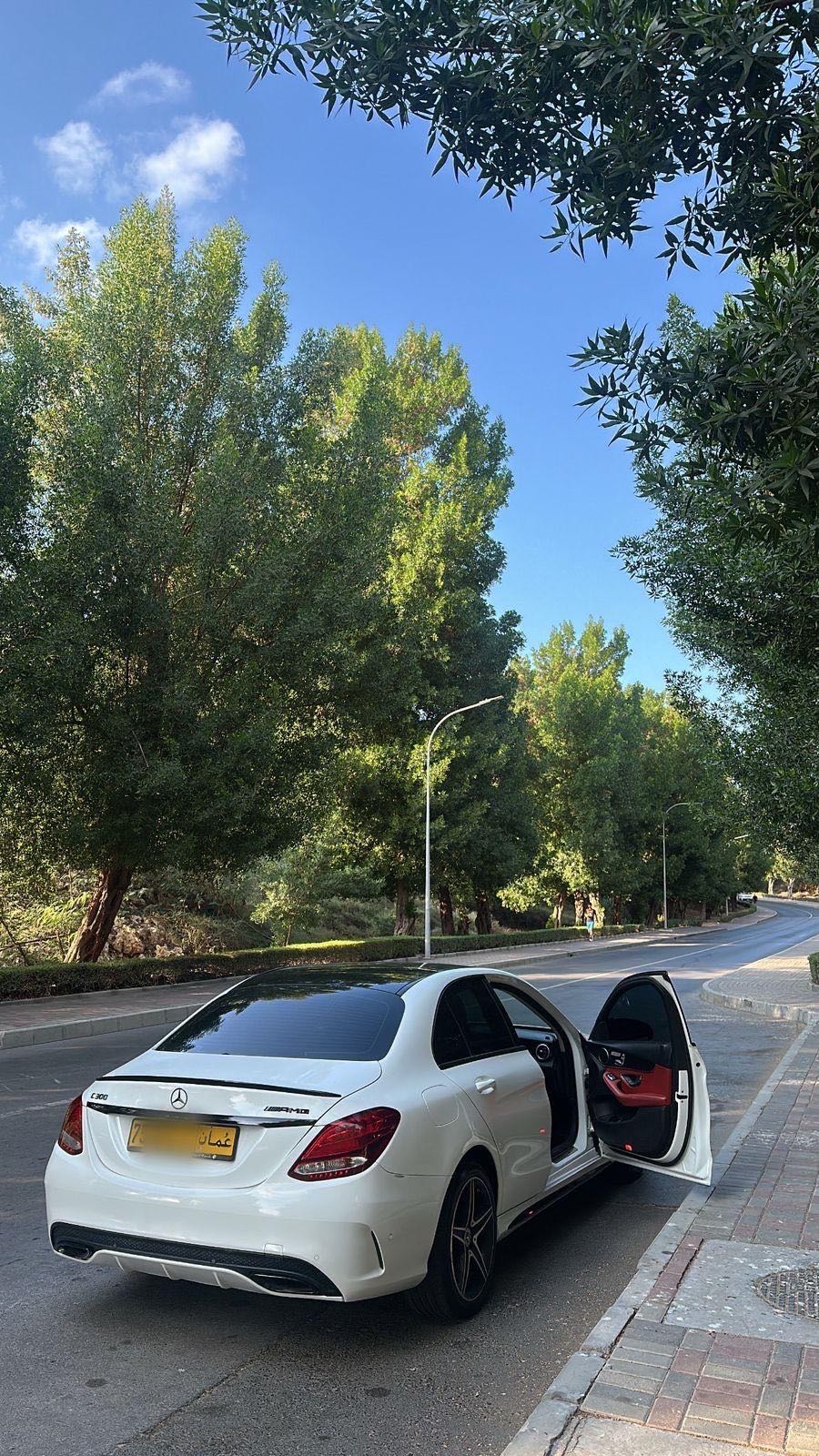 Car Image 2017 MERCEDES C Class 300