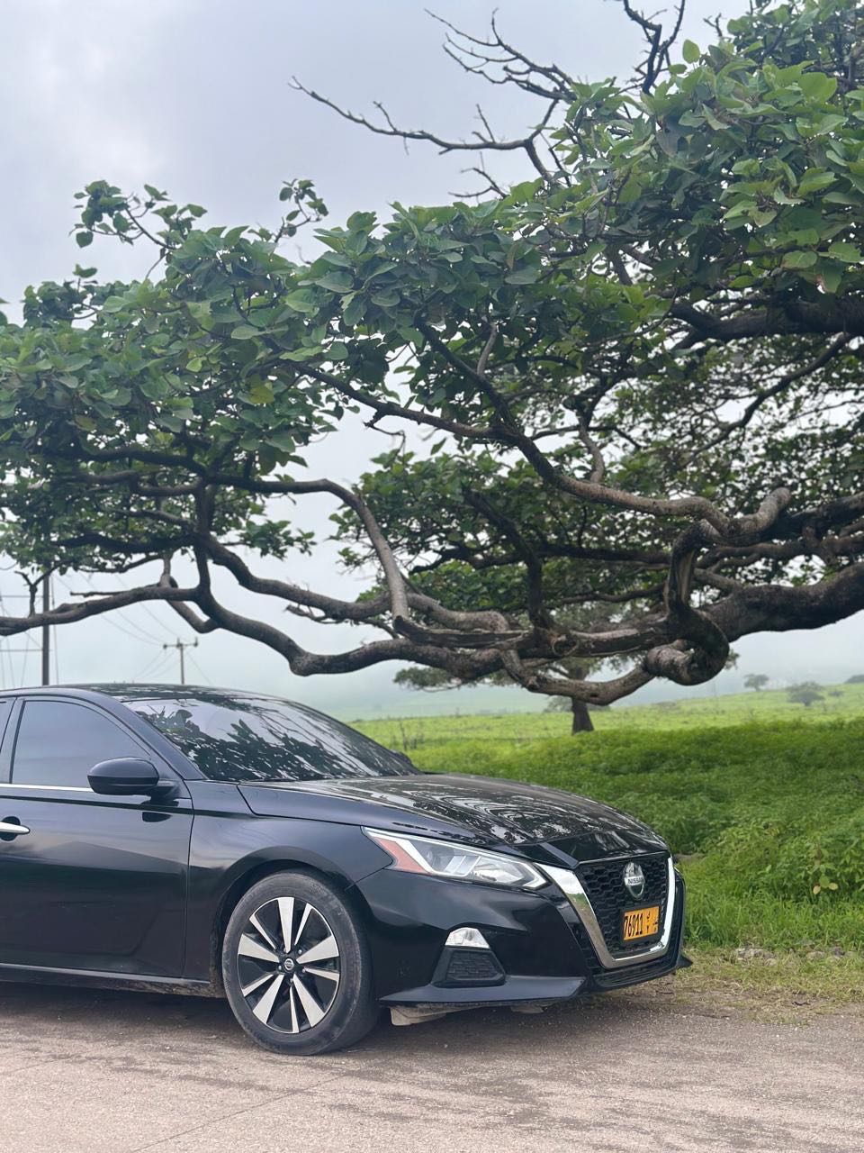 Car Image 2021 NISSAN ALTIMA SV
